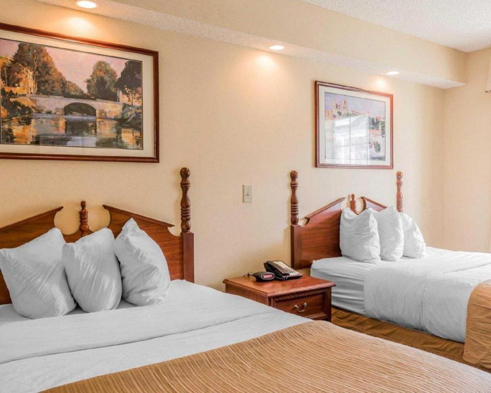 Rodeway Inn Sylacauga Hwy 280 Esterno foto