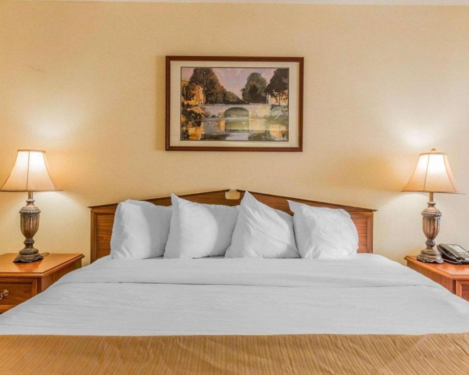 Rodeway Inn Sylacauga Hwy 280 Esterno foto
